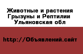 Животные и растения Грызуны и Рептилии. Ульяновская обл.